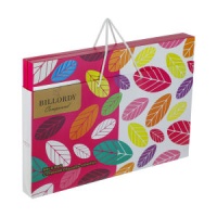  کادویی تلخ و شیری با مغزی کرم کاکائو بیلوردی - 300 گرم635d6f9ea0d0b71120